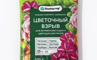 Брендт Біомайстер