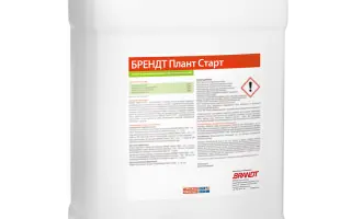 Брендт Плант Старт