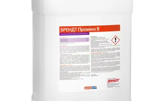 Брендт Проміно В