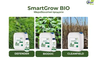 Брендт Смарт