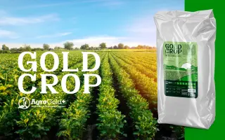 GOLDEN CROP (ЗОЛОТИЙ ВРОЖАЙ)