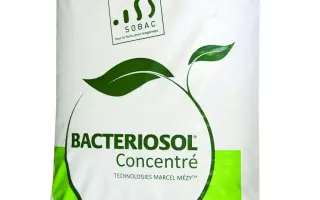 Куатерна Терра (Куатерна Терра, Куатерна Терра Органік)