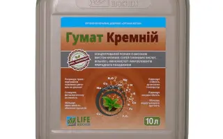 Гумат XXI (марки Гумат Кремній, Гумат Аміно, Антистрес 03)