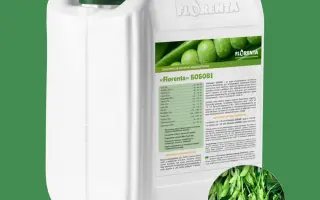 БорфОТАРТ, р., добриво