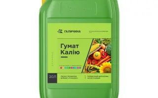 ГУМАТ КАЛІЮ «РОСТ ОК», р., добриво