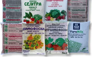 Басфоліар (Нутрісід)