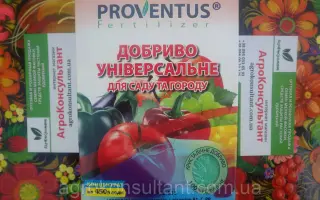 Proventus (Провентус)