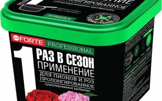 Лендскейпер Про