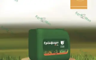 Грінфорт Original