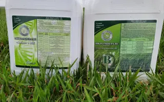 Наноактиватор