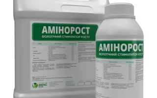 АМІНОРОСТ