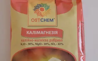 Патенткалі