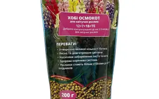 Лумібіо Оптіма