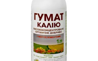 Лумідапт Кельта