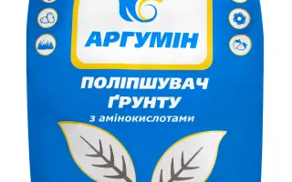Агнішн