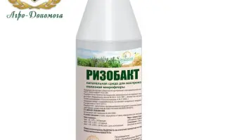 Микробиологическое удобрение Мікобакт/Ризобакт