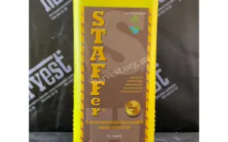 STAFFer (СТАФФер)