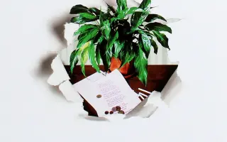 НЕРДЖІ (НЕРДЖІ, НЕРДЖІ АП, НЕРДЖІ СТАРТ, НЕРДЖІ БЛУМ, НЕРДЖІ ТОП