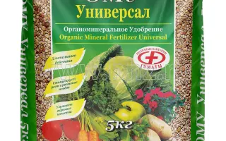 Грін Універсал