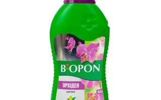 АЗОПЛОН Опті