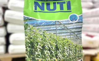 АЗОПЛОН Нутрі (АZOPLON Nutri)