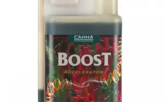 Буст Універсальний