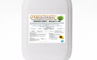 СТІМ (СТІМ, СТІМ АП, СТІМ СТАРТ, СТІМ БЛУМ, СТІМ ТОП)