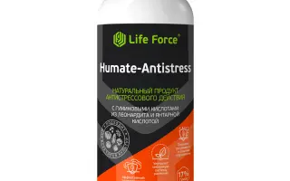 Натурал Форс