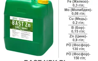 BAST PLUS (БАСТ ПЛЮС)