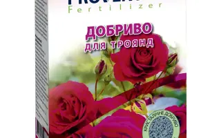 Proventus (Провентус)