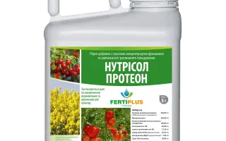 Нутріно Про