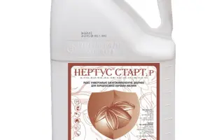Нертус Старт