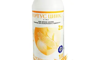 Нертус Цинк