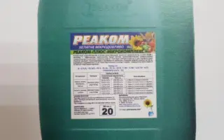 Реаком Плюс Інтенсив