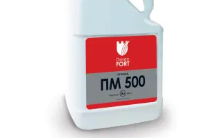 Грінфорт Класик