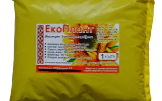 Екоплант (зола соняшника)