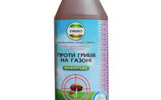 Мікробіологічне добриво «Ембіонік»