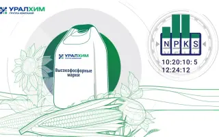 Азофоска марки NPKS (27-6-6-2)