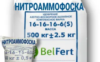 НИТРОАМОФОСКА МАРКИ NPKS