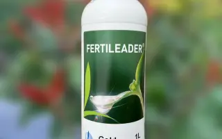 Фертілідер Вітал-954