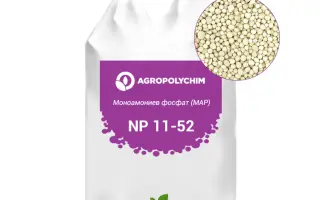 АМОФОС БЕЗ ДОДАВАННЯ І З ДОДАВАННЯМ МІКРОЕЛЕМЕНТІВ