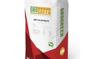 Гронгрін Грінта Курбі