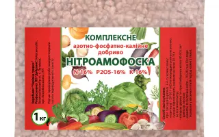 НИТРОАМОФОСКА ПОКРАШЕНОГО ГРАНУЛОМЕТРИЧНОГО СКОЛАДУ