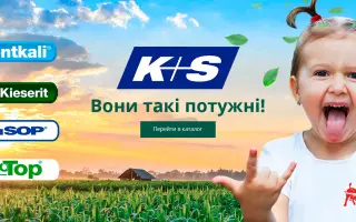 Патенткалі