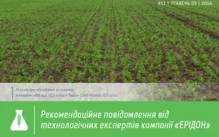 Тарра сорб фолі ар