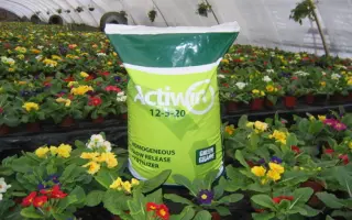 Актівін (Тренер)