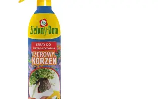 Зелений дім