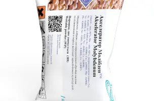 Акселератор