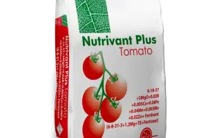 Нутрівант Плюс