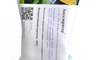 Акселератор